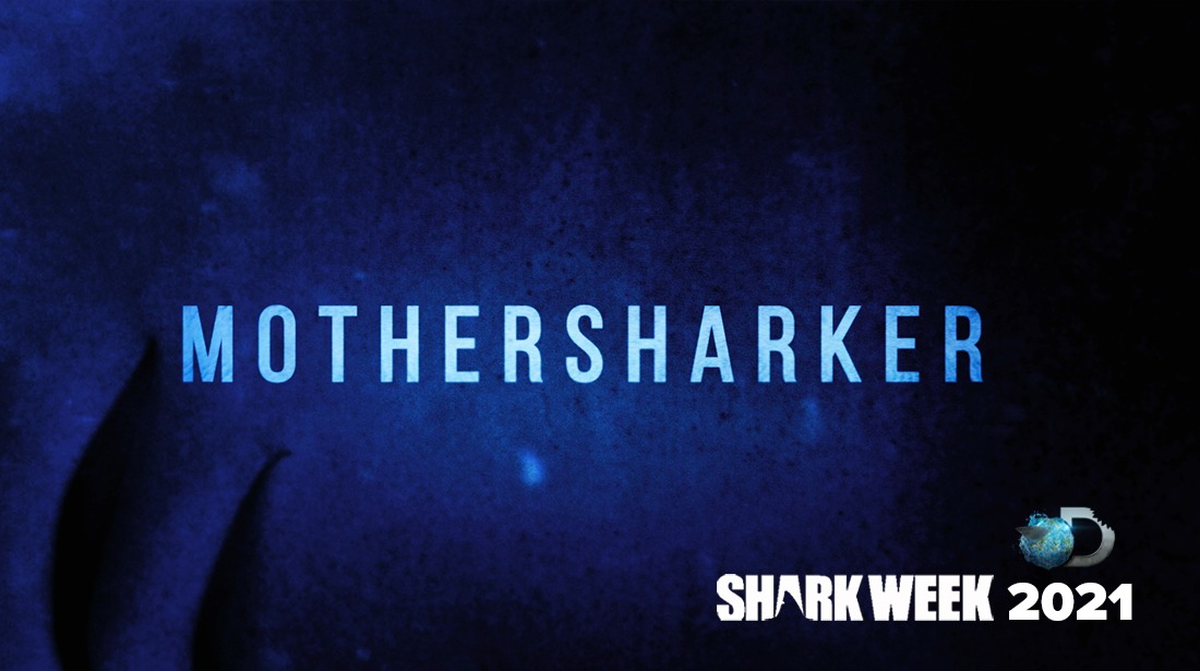 Mothersharker artwork