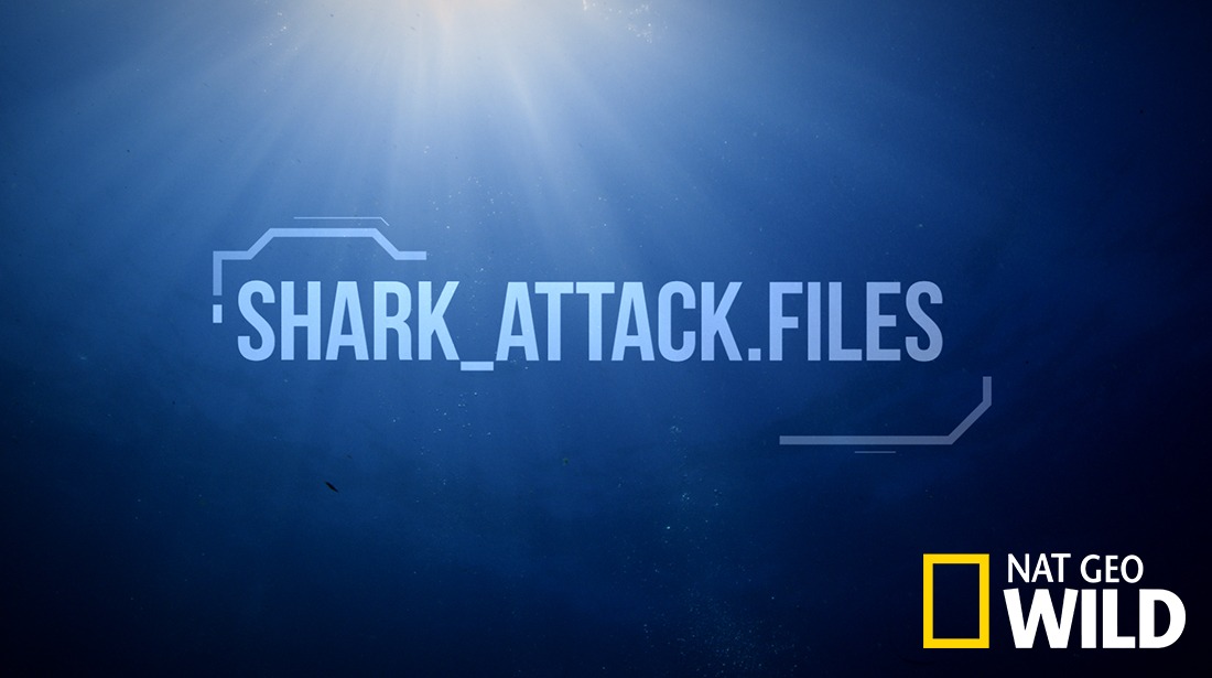 Shark Attack Files artwork
