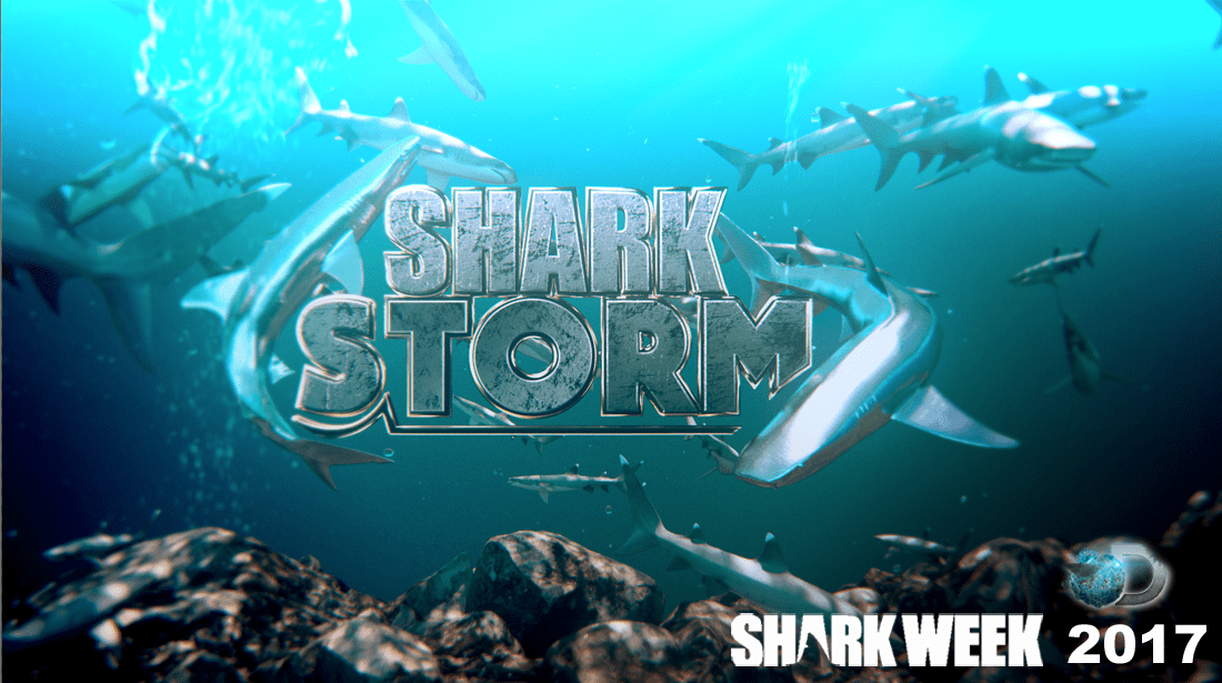 Shark Storm artwork