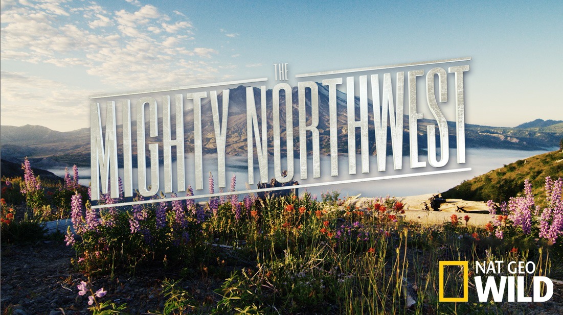 The Mighty Northwest artwork
