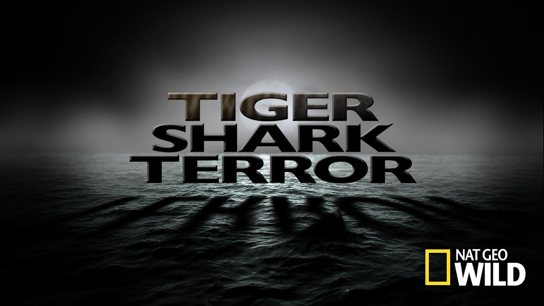 Tiger Shark Terror artwork