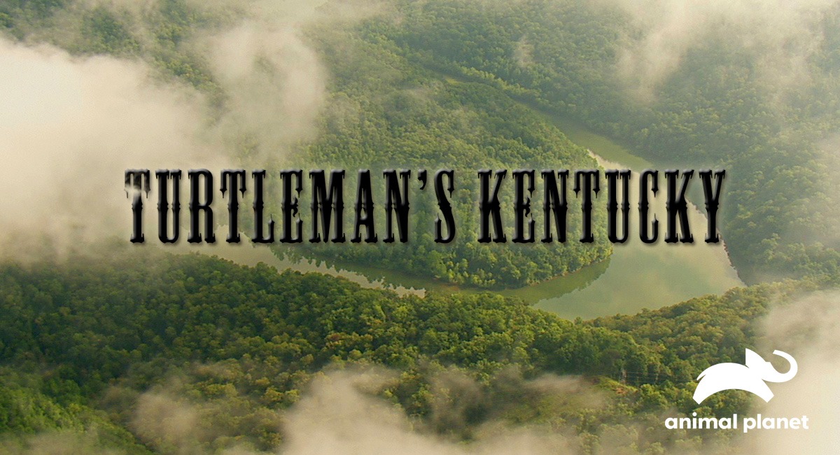Turtleman's Kentucky artwork