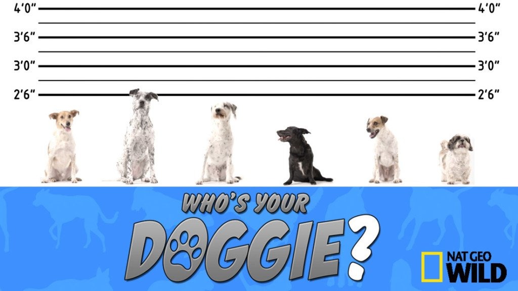 Who's Your Doggie? artwork