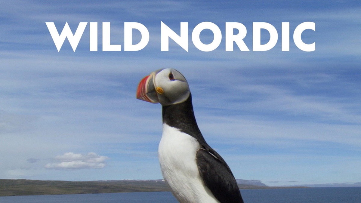 Wild Nordic artwork