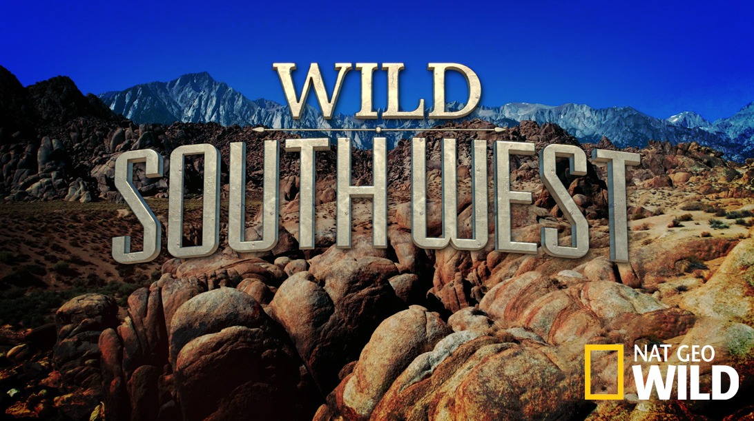 Wild Southwest artwork