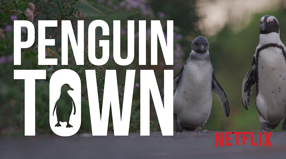 Penguin Town series artwork